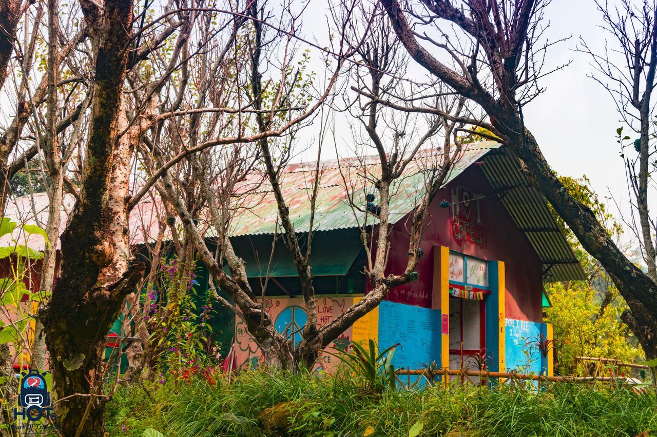 Hots Nainital Hostel Patwa Dunga Exterior foto