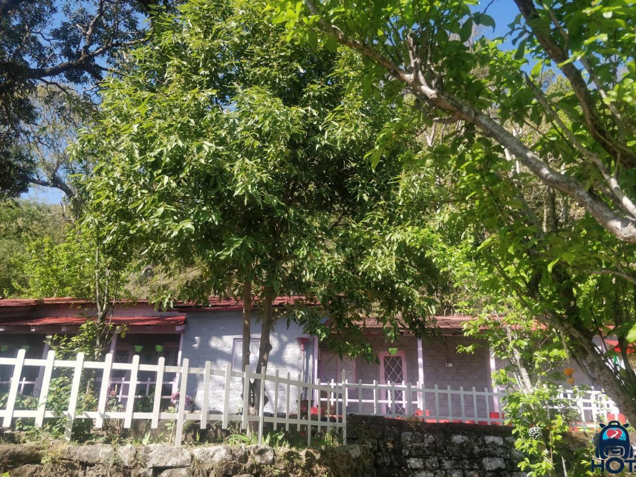 Hots Nainital Hostel Patwa Dunga Exterior foto